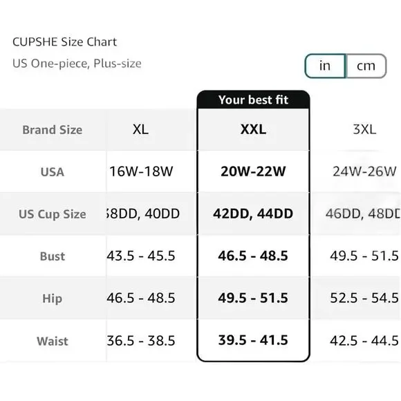 NWT Cupshe Womens Plus Size V Neck Mesh Sheer One Piece Swimsuit Black Size 2X - Picture 6 of 7